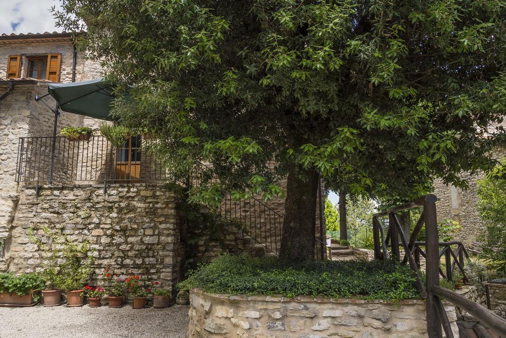 Agriturismo Monte Acuto Umbertide Cameră foto